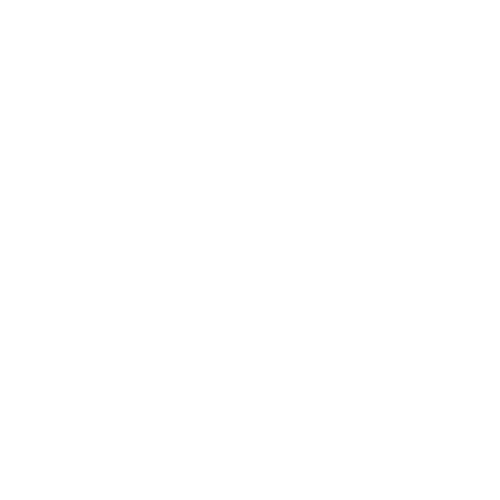 Freelancer
